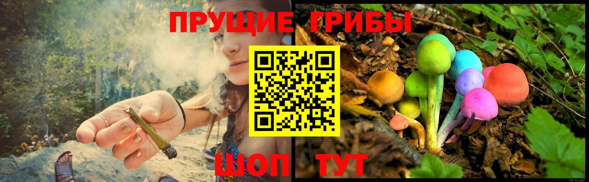 Ртищево  Галлюциногенные грибы ЛСД  Вход с VPN 